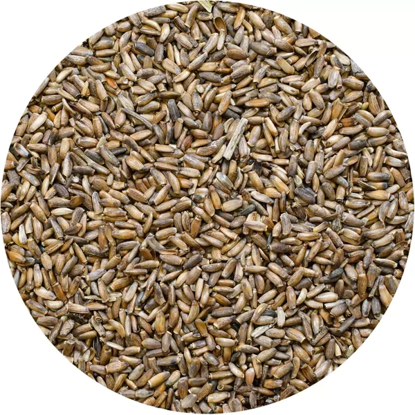 Vivarini – Milk thistle (seeds) 50g