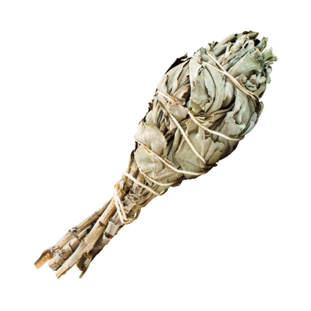 White sage – Incense 15-20g (torch)