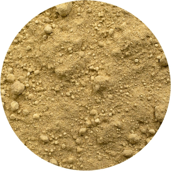 Vivarini – Ginger (ground) 200g