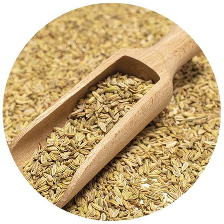 Fennel organic (seeds) 1kg